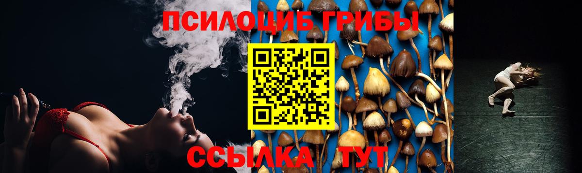 Псилоцибиновые грибы ЛСД Шахты